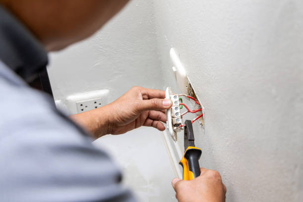 Best Ceiling Fan Installation Electrician  in Norman Park, GA